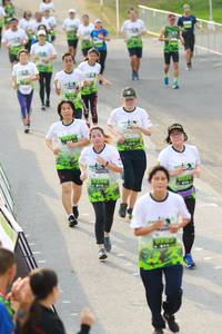 BIB: 
                            <button type="button" onclick="openModal(3551820)" class="btn btn-primary btn-sm float-right btn-popup" data-toggle="modal" data-target=".modal-high-quality">
                        <i class="fas fa-shopping-cart"></i> Add to Cart
                    </button>
                                            <button type="button" onclick="isThisMe(3551820, true)" class="btn btn-success btn-sm float-right btn-popup btn-isme hidden" data-toggle="tooltip" data-placement="bottom" title="นี่คือรูปของคุณใช่ไหม คลิกที่นี่เพื่อเอาเข้าอัลบั้ม">
                        <i class="fas fa-plus"></i> Add to album
                    </button>
                    <button type="button" onclick="isThisMe(3551820, false)" class="btn btn-warning btn-sm float-right btn-popup btn-isnotme hidden">
                        <i class="fas fa-ban"></i> Remove from album
                    </button>